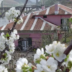 Отель Casa Dos Varais, Manor House фото 5