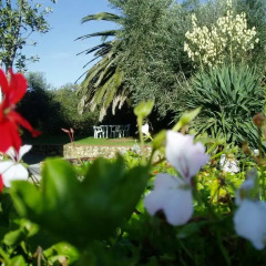 Отель Osteria Vecchia Италия, Кастаньето-Кардуччи - отзывы, цены и фото номеров - забронировать отель Osteria Vecchia онлайн приотельная территория