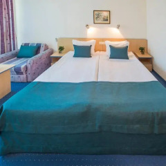 Holiday Park Hotel 4* Стандартный номер с различными типами кроватей фото 13