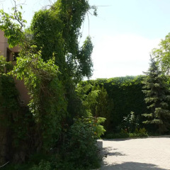 Jasmin Hotel Armenia Yerevan парковка