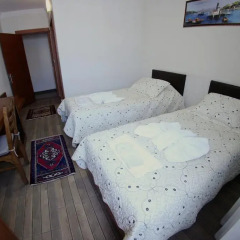 Selena Hotel 2* Номер категории Эконом фото 10