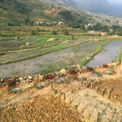 Отель Muong Hoa Homestay