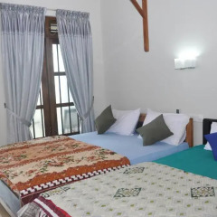 Traveller's Home Hotel 3* Бунгало с различными типами кроватей фото 12