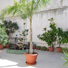 Апартаменты Apartment Casa Francesca Сиракуза фото 3