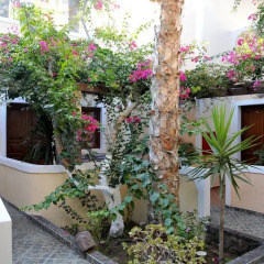 Отель Polydefkis Apartments Греция, Остров Санторини - отзывы, цены и фото номеров - забронировать отель Polydefkis Apartments онлайн фото 4
