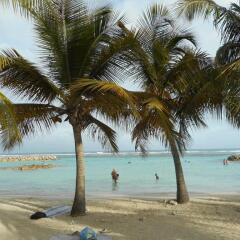 Coté Plage In Saint Francois Guadeloupe From 134 Photos