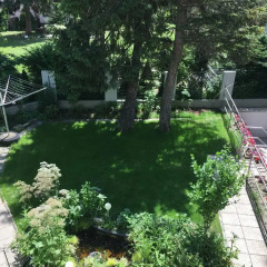 Отель AJO Terrace Австрия, Вена - отзывы, цены и фото номеров - забронировать отель AJO Terrace онлайн фото 11