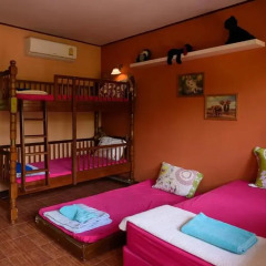 Отель Cowboy Farm Resort Pattaya 3* Номер категории Эконом с различными типами кроватей фото 5