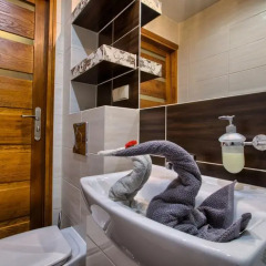 Отель Apartamenty i Pokoje w Willi na Ubocy Люкс фото 4