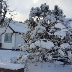 Отель Simscabin Winter House Южная Корея, Пхёнчан - отзывы, цены и фото номеров - забронировать отель Simscabin Winter House онлайн фото 2