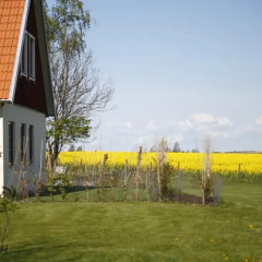 Отель Hobykrok B&B Швеция, Лунд - отзывы, цены и фото номеров - забронировать отель Hobykrok B&B онлайн фото 2