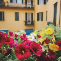 Отель Martindago B&B 3* Номер Делюкс с различными типами кроватей фото 2