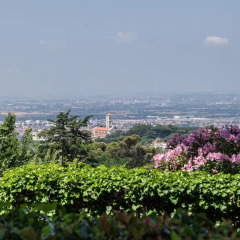 Отель La Locanda Dei Ciocca Италия, Гроттаферрата - отзывы, цены и фото номеров - забронировать отель La Locanda Dei Ciocca онлайн балкон