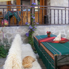 Отель Todeva House питание