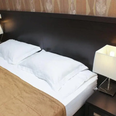 Гостиница Александрия 3* Номер Комфорт разные типы кроватей фото 15