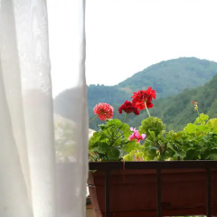 Отель Family Hotel Flora Болгария, Ардино - отзывы, цены и фото номеров - забронировать отель Family Hotel Flora онлайн балкон