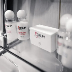 Отель Forum Plaza 4* Номер Luxe фото 9