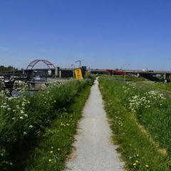 Отель Floating B&B Amsterdam Нидерланды, Амстердам - отзывы, цены и фото номеров - забронировать отель Floating B&B Amsterdam онлайн фото 4