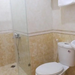 Green Ruby Hotel 3* Стандартный номер с различными типами кроватей фото 4