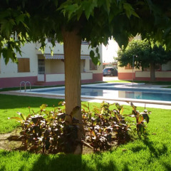 Отель Apartamentos Aigua Oliva
