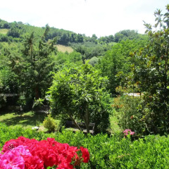 Отель B&B Carboni Италия, Трайа - отзывы, цены и фото номеров - забронировать отель B&B Carboni онлайн фото 2