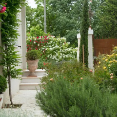 Отель Ca'Bevilacqua Bed&Breakfast Бертиноро фото 5