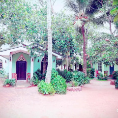Sylvester Villa Hostel Negombo Кровать в общем номере с двухъярусной кроватью фото 9