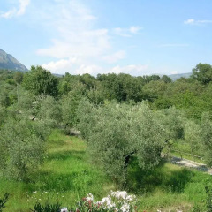 Апартаменты Apartment Welcome to Campolongo Сперлонга фото 7