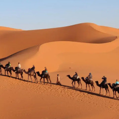 Отель Auberge Kasbah Des Dunes Марокко, Мерзуга - отзывы, цены и фото номеров - забронировать отель Auberge Kasbah Des Dunes онлайн приотельная территория
