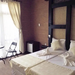 Отель Mountain View Wellness Complex 4* Стандартный номер