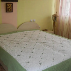 Отель Vlad - Tanya Guest House комната для гостей фото 4