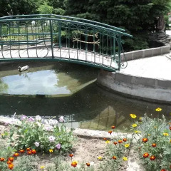 Гостиница Relax с домашними животными