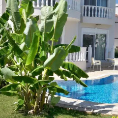 Belek Villa & Family House Турция, Денизяка - отзывы, цены и фото номеров - забронировать отель Belek Villa & Family House онлайн бассейн фото 18