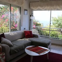 Апартаменты Carmel Near The Sea Apartment Хайфа комната для гостей фото 3