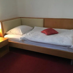 Отель Guesthouse Aleš 3* Стандартный номер с различными типами кроватей фото 3