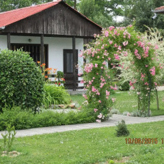 Отель Lucky Bungalows Арбанаси фото 19