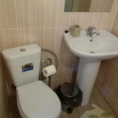 Гостиница Diana Guest House Улучшенный номер разные типы кроватей фото 16
