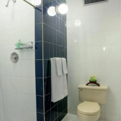 Torre De Cali Plaza Hotel 3* Стандартный номер с различными типами кроватей фото 9