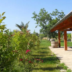 Отель Agriturismo Bassarì Италия, Реканати - отзывы, цены и фото номеров - забронировать отель Agriturismo Bassarì онлайн фото 19