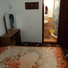 Гостиница Guest House Nika Стандартный номер с двуспальной кроватью фото 35