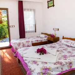 Flower Pension Hotel Стандартный номер с различными типами кроватей фото 2