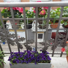 Отель The Pea Blossom B&B Дания, Копенгаген - отзывы, цены и фото номеров - забронировать отель The Pea Blossom B&B онлайн балкон