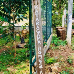 Отель Kataragama Homestay фото 15