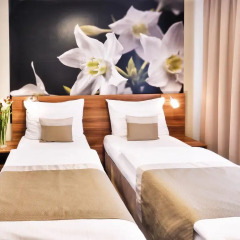 Vista Hotel 4* Стандартный номер фото 2