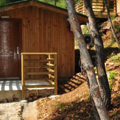 Tree Houses 3* Бунгало с различными типами кроватей фото 4