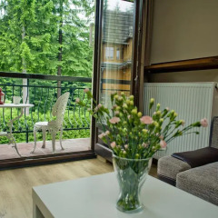 Отель Apartamenty Bulwary 25 Закопане балкон