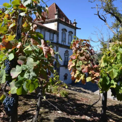 Отель Casa das Torres de Oliveira Португалия, Мезан-Фриу - отзывы, цены и фото номеров - забронировать отель Casa das Torres de Oliveira онлайн помещение для мероприятий