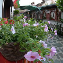 Отель Guest House Hayloft фото 15