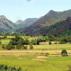 Отель Casa Pelayin