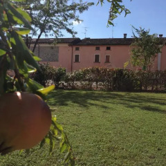 Отель B&B Cascina Le Rose Монцамбано фото 5